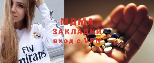 индика Осинники