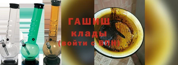 индика Осинники