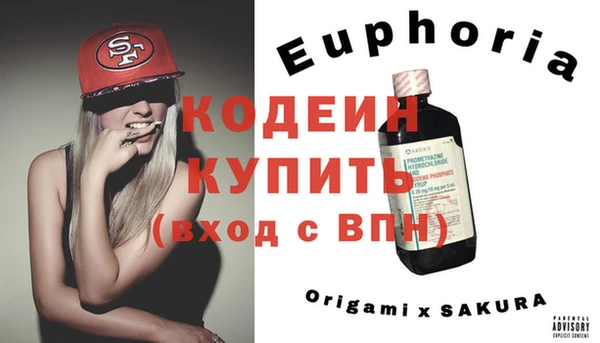 индика Осинники
