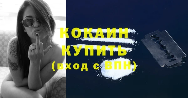 2c-b Пересвет