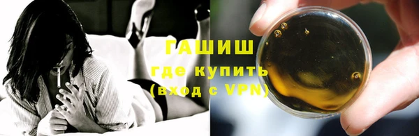 индика Осинники