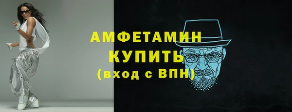 индика Осинники