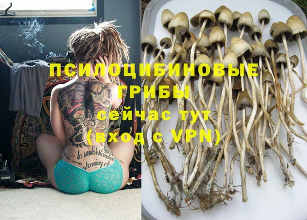 индика Осинники