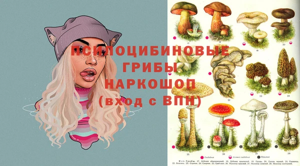 индика Осинники