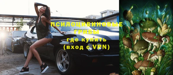 ешки Пестово