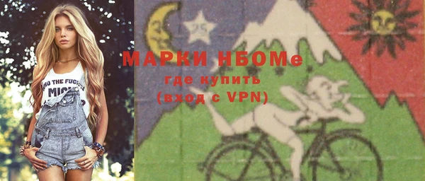 индика Осинники