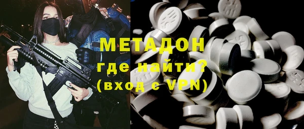 индика Осинники