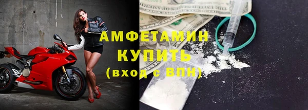 индика Осинники