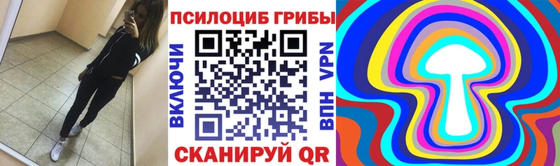 Купить где Егорьевск Галлюциногенные грибы Psilocybe