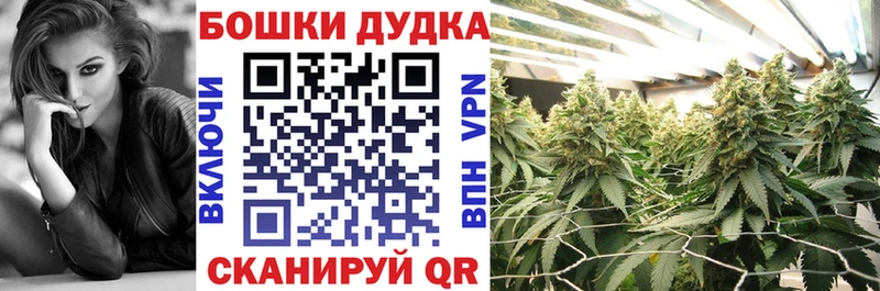 Бошки марихуана индика  Купить закладки  Егорьевск 